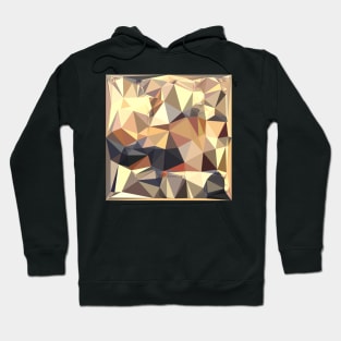 Bisque Gray Abstract Low Polygon Background Hoodie